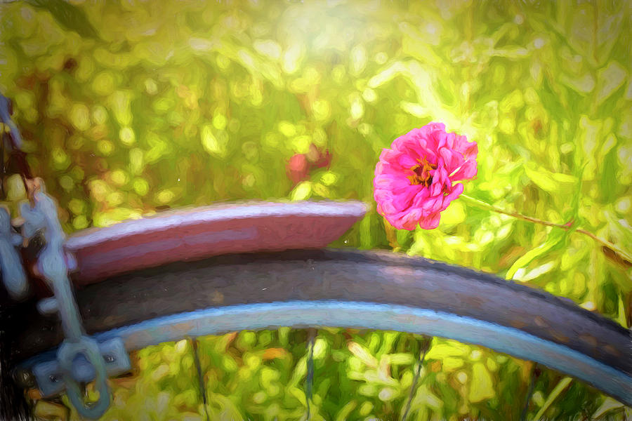 A Flower and a Bike Photograph by Deborah Penland