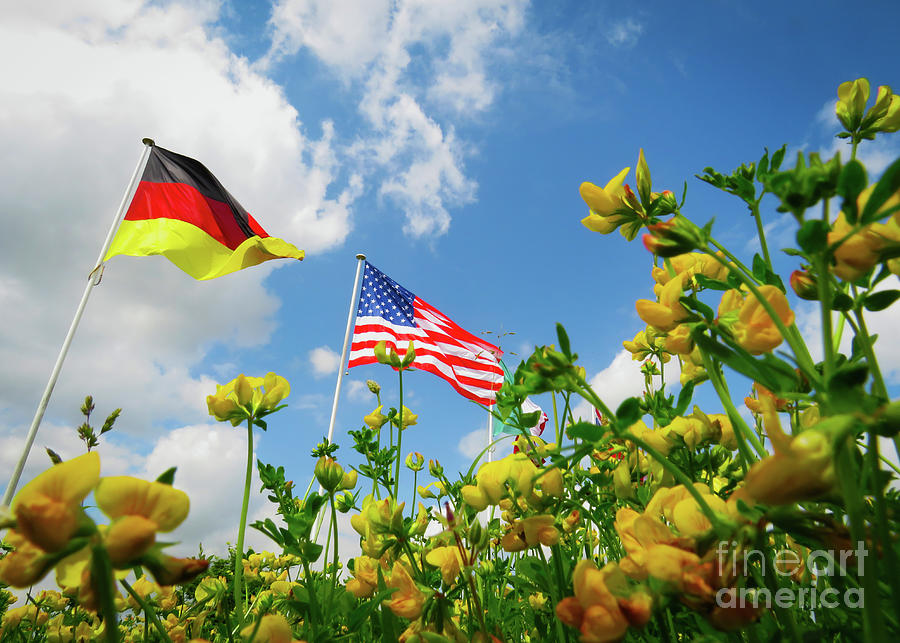 A Flowers View Of The Usa And German Flags Photograph
