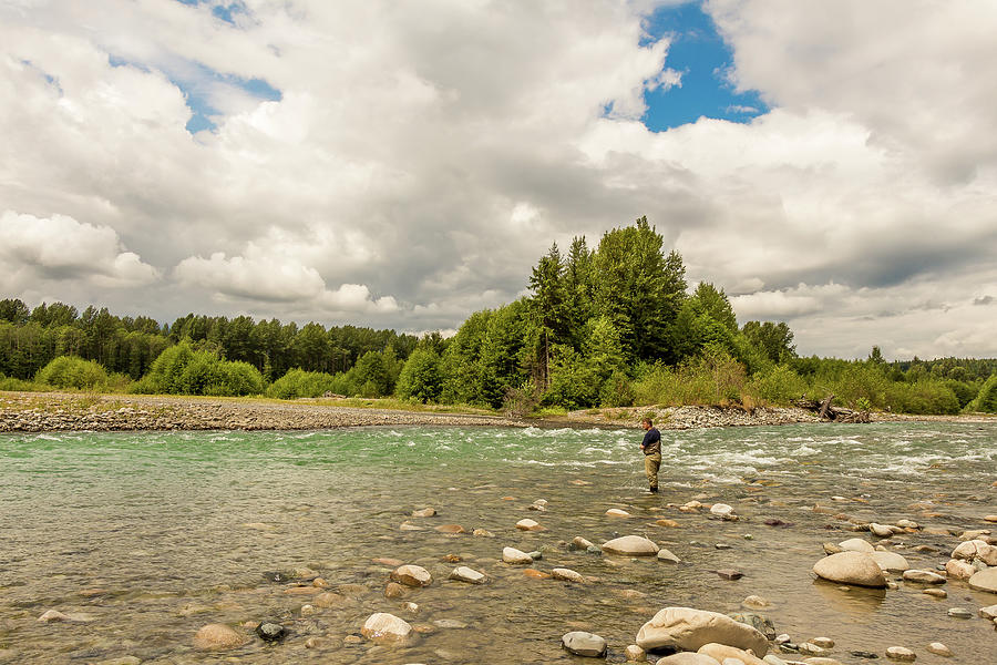 A fly fisherman fishing the fast flowing, green glacial Kitimat River ...