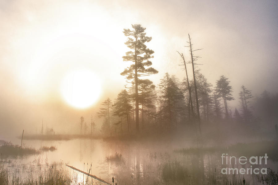 A foggy Adirondack morning Photograph by Rehna George