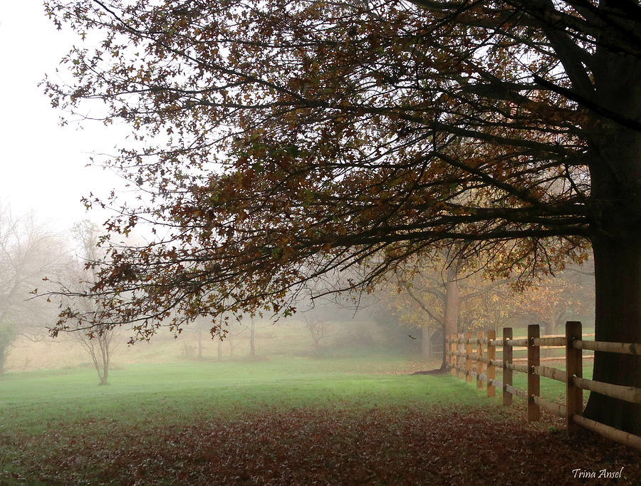 A Foggy Autumn Morning Photograph by Trina Ansel