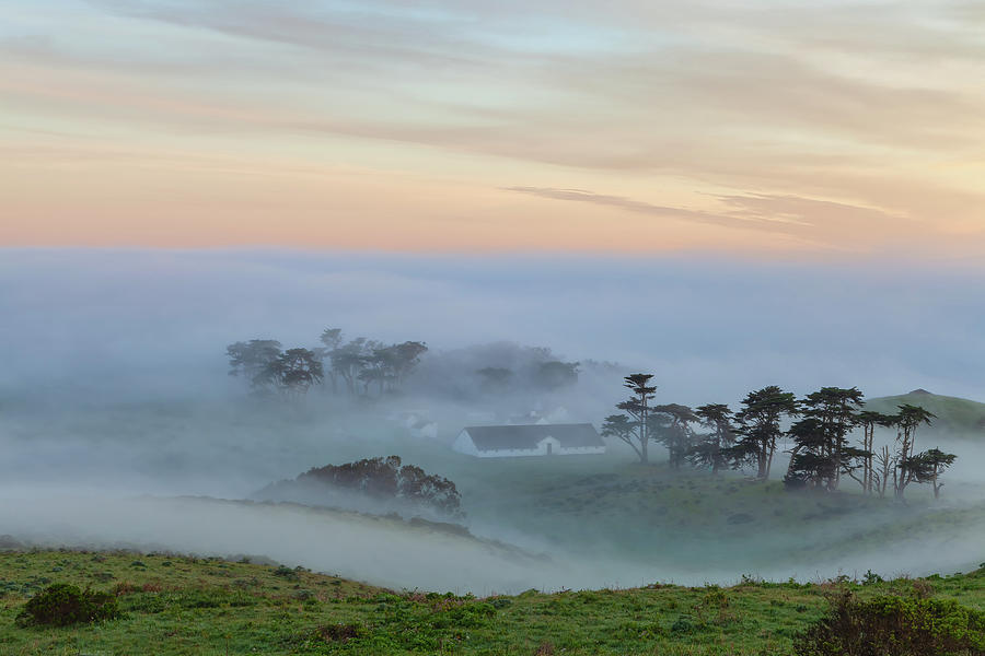 A Foggy Dawn  Photograph by Jonathan Nguyen