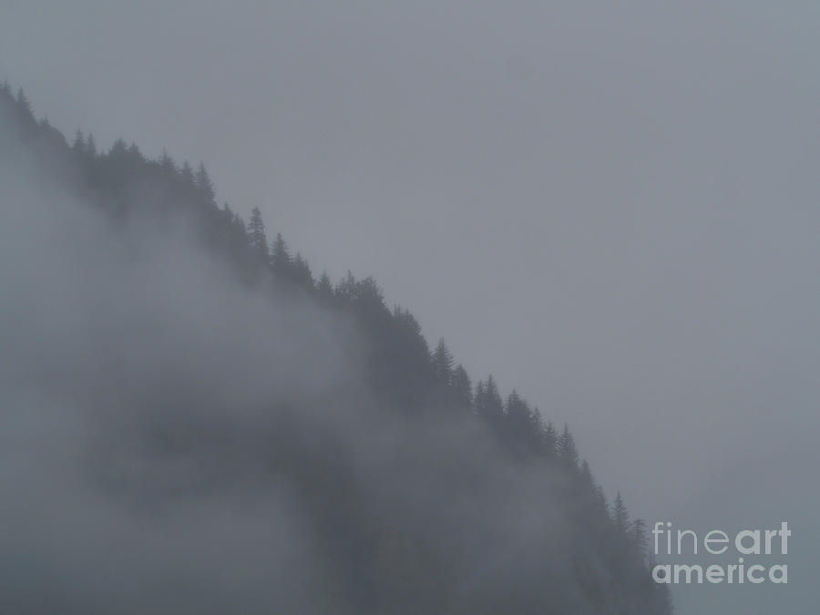 A Foggy Morning in Kenai Fjord National Park Photograph by L Bosco