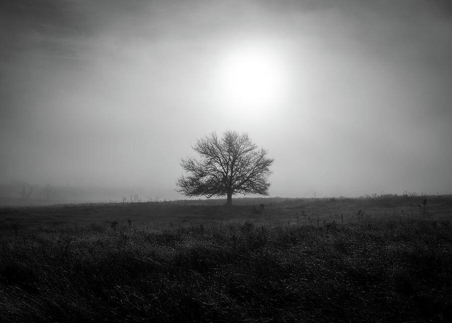 A Foggy Morning Photograph by Hillis Creative