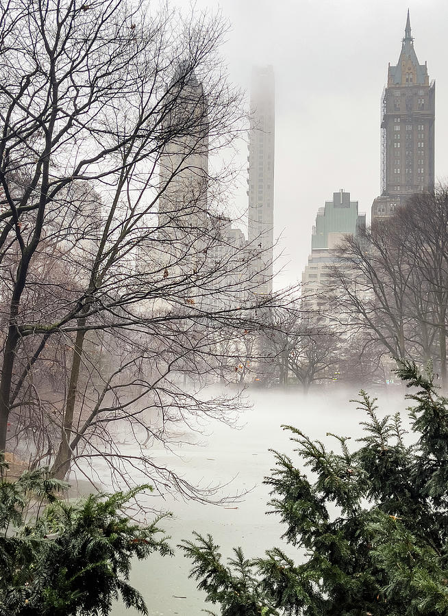 A foggy view across the pond Photograph by Cate Franklyn