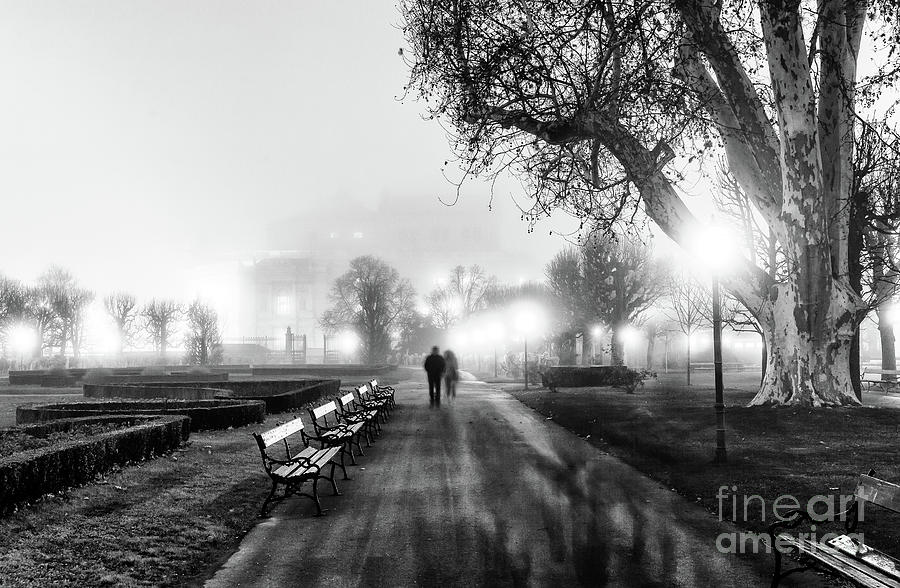 A Foggy Walk in the Volksgarten Vienna Photograph by John Rizzuto