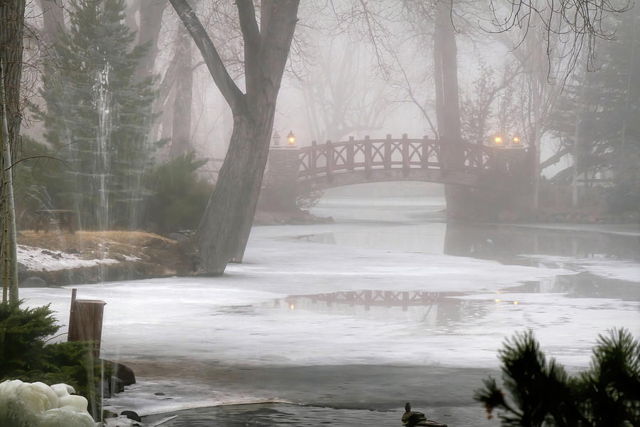 A Foggy Winter Morning Photograph by Donna Kennedy