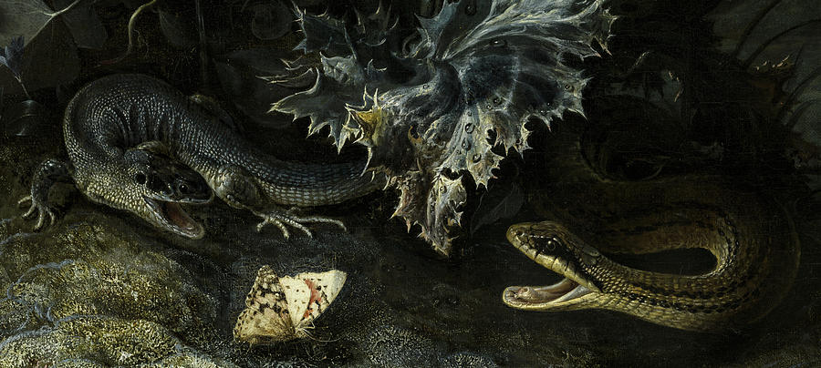 Snake Painting - A Forest Floor with a Snake, a Lizard and Butterflies, 1667 by Otto Marseus van Schrieck