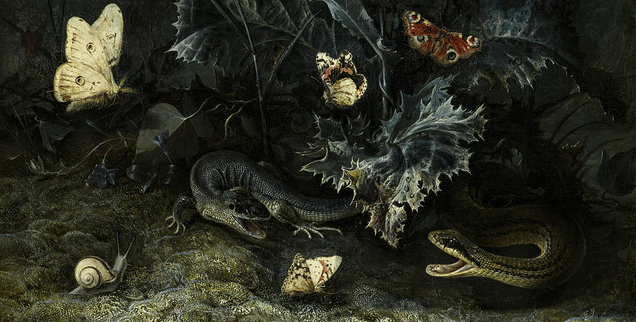Snake Painting - A Forest Floor with a Snake, a Lizard and Butterflies by Otto Marseus van Schrieck