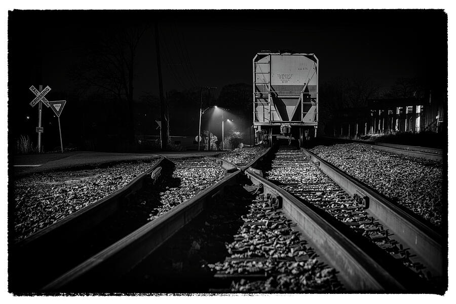 A Fork in the Road Photograph by Daniel Fleming A Fork in the Road Photograph by Daniel Fleming