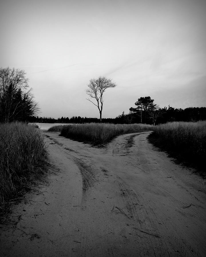 A Fork In The Road BW Photograph by Kristia Adams