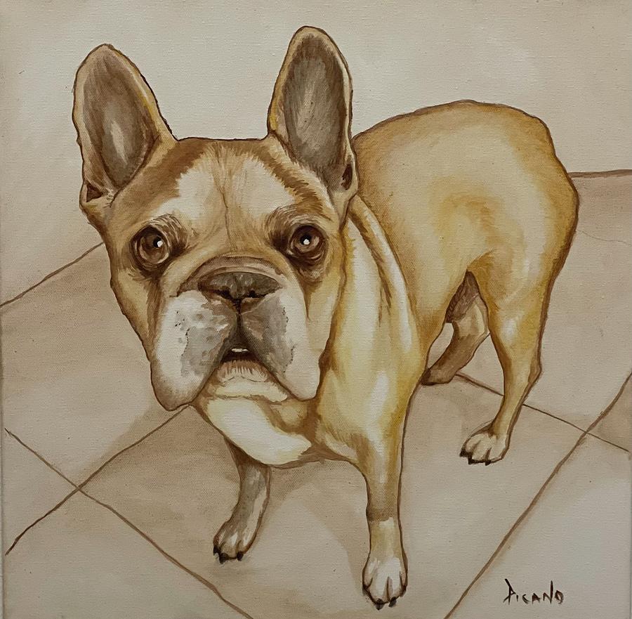 A Frenchies Gaze Painting by Holly Picano