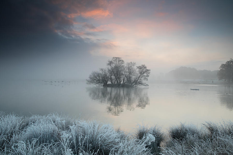 A frosty lake scene. Photograph by Alex Saberi