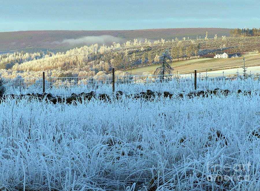 A Frosty Winters Day Photograph by Phil Banks