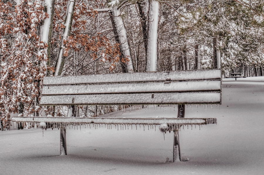 A Frozen Bench All To Your Self Photograph by Dale Kauzlaric