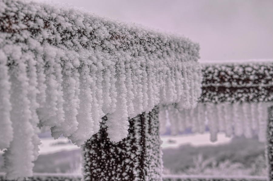 A Frozen Handrail Photograph by Dale Kauzlaric