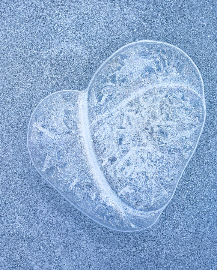 A Frozen Heart Photograph
