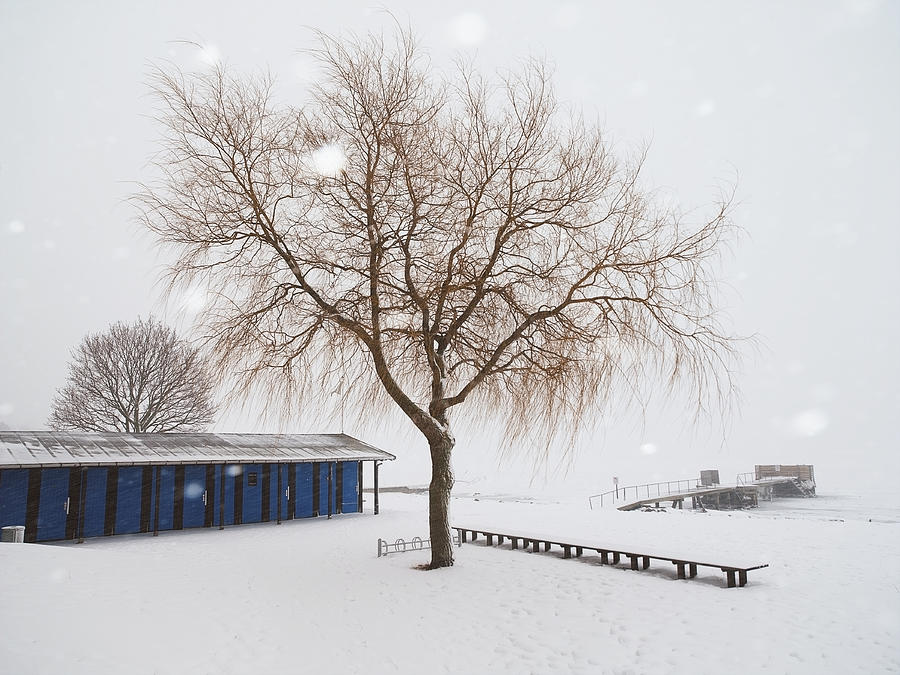A frozen landscape by the sea in Vedbaek Photograph by David Trood