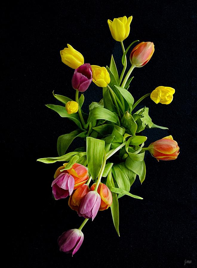 A Gaggle of Tulips.  Photograph by JoAnn Lense