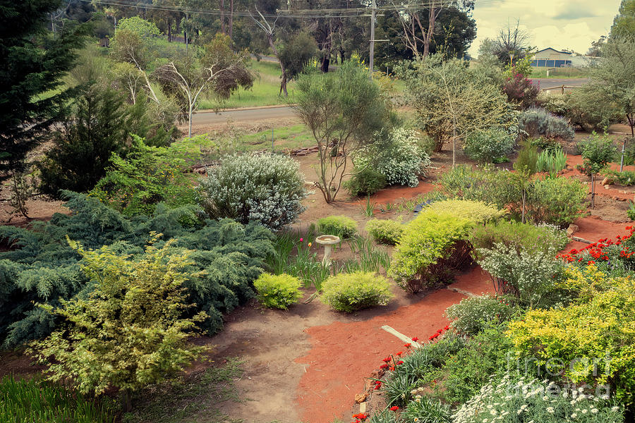 A Garden in Bridgetown, Western Australia Photograph by Elaine Teague