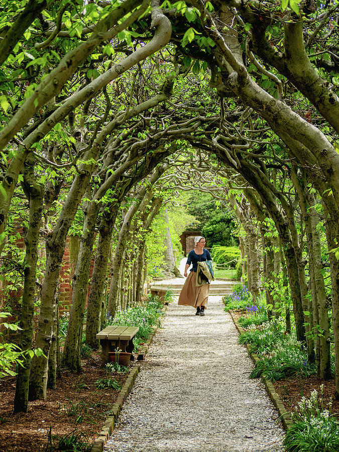 A Garden Stroll in Colonial Williamsburg Photograph by Rachel Morrison