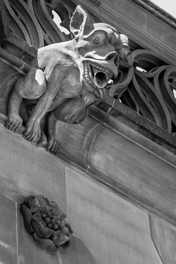 A Gargoyle in Strasbourg - 1 Photograph by W Chris Fooshee