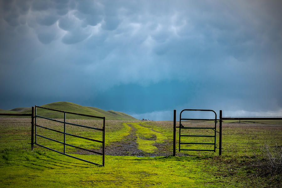Landscape Photograph - A gate in the pasture, 2023 by Alessandra RC