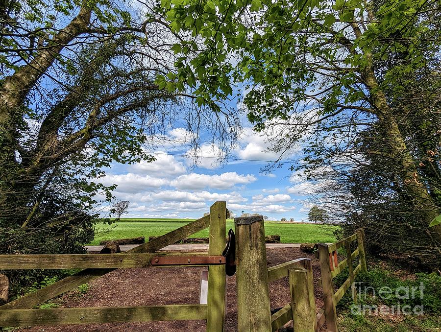 A Gate in the trees with a beautiful sky Photograph by Andy Thompson
