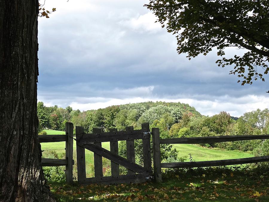 A Gate With A View Photograph by Catherine Arcolio