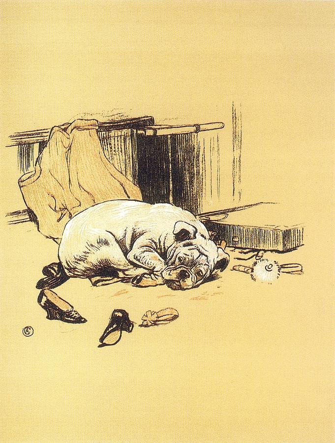 A Gay Dog, Belly Ache Drawing by Cecil Aldin - Fine Art America