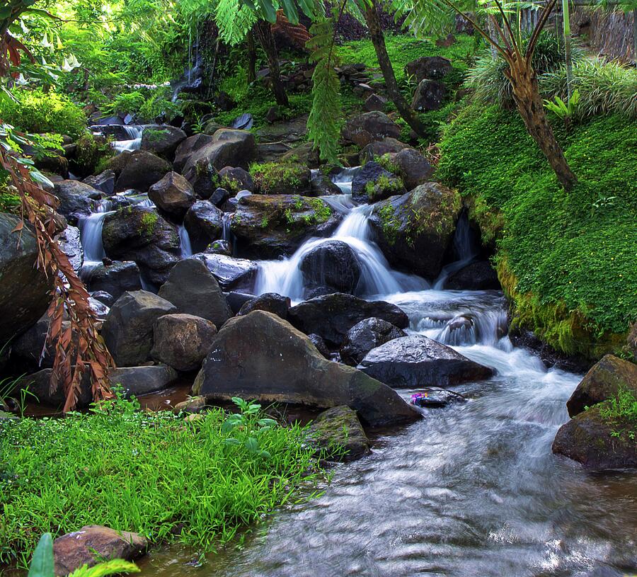 A Gentle Cascade in the Woods Photograph by Lik Batonboot - Fine Art ...