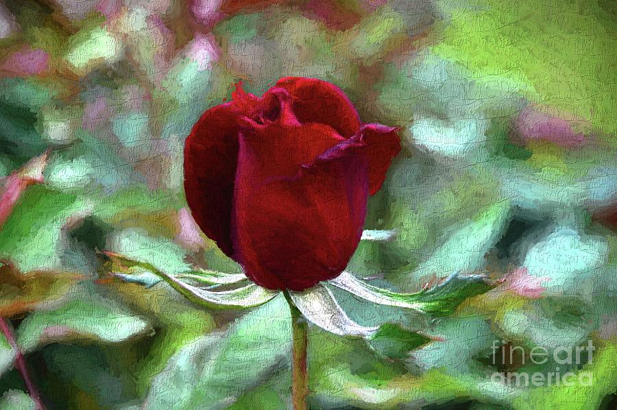 A Gift Photograph by Diana Mary Sharpton