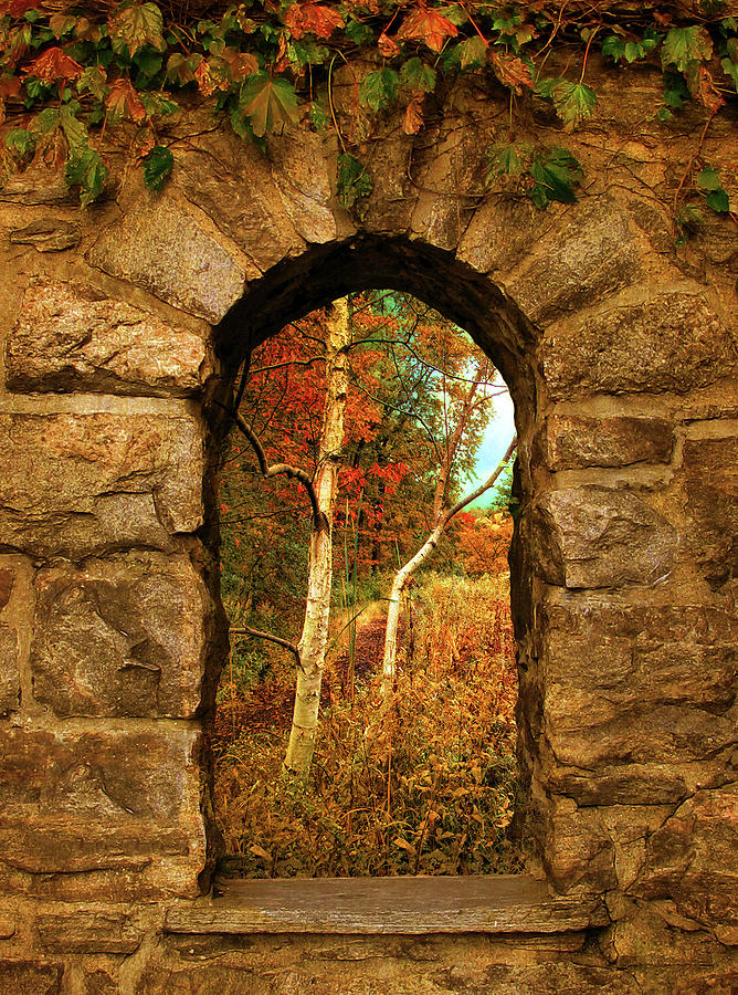 Nature Photograph - A Gimpse of Autumn by Jessica Jenney
