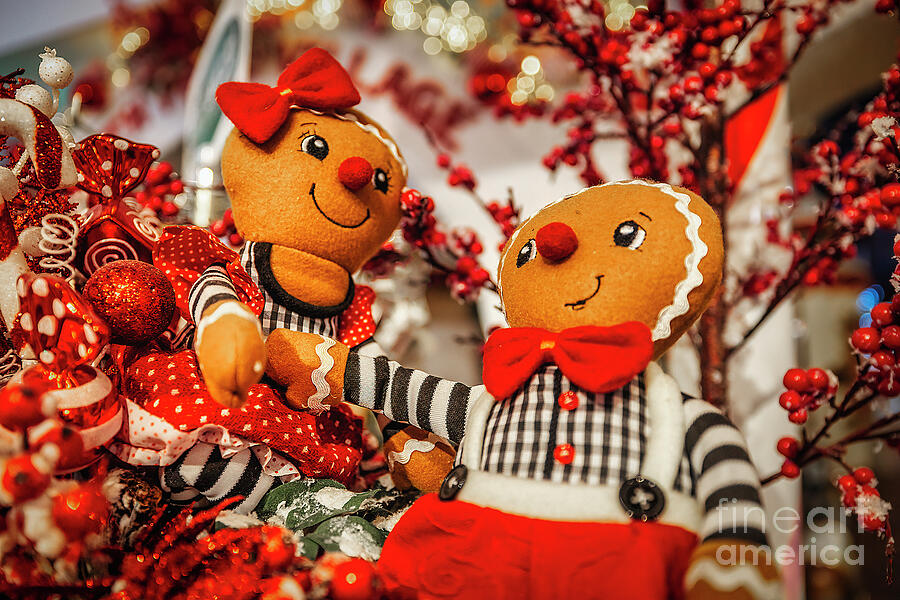 A Gingerbread Christmas Photograph by Shelia Hunt