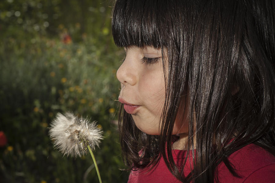 A girl and a dandelion. Photograph by Adriano Ficarelli