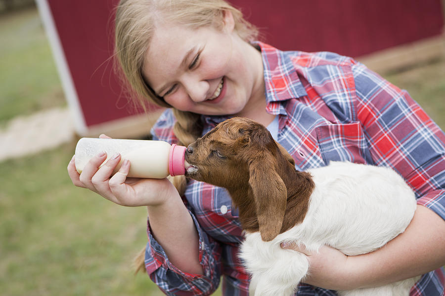 A girl bottle-feeding a baby goat. Photograph by Mint Images - Norah Levine
