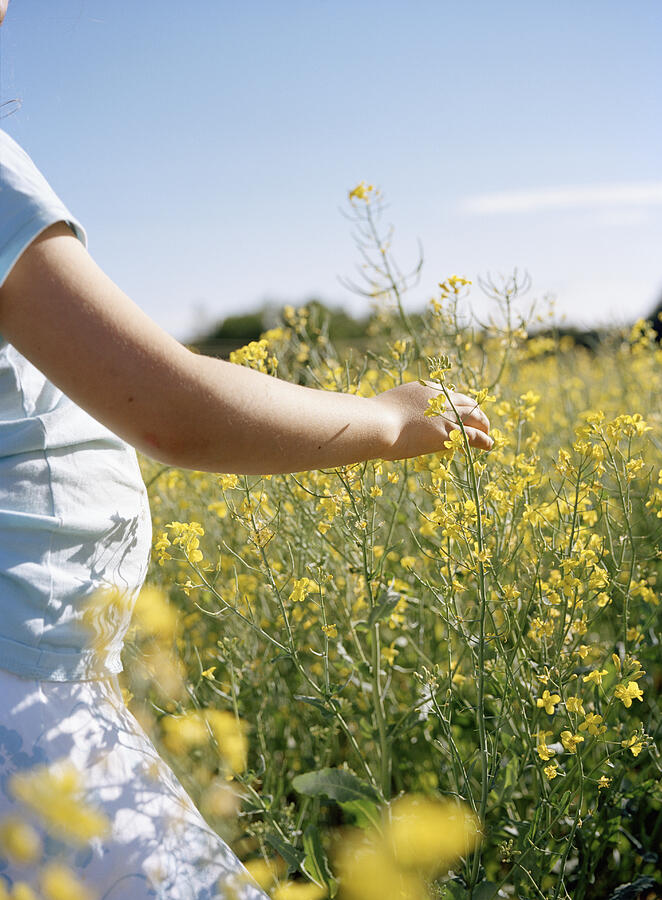 A girl in a field of flowering colza Sweden. Photograph by Ewa Ahlin