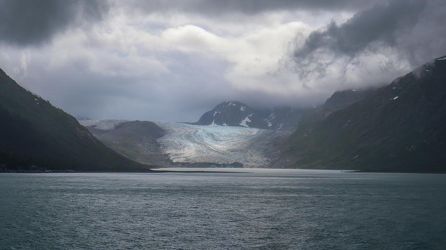 Alaska Photograph - A Glacier Bay Stare by Ed Williams Alaska Photograph - A Glacier Bay Stare by Ed Williams