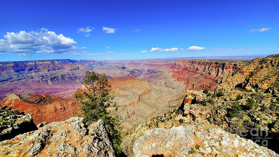 A Glimpse Into The Abyss Photo Of The Grand Canyon By Traveling Artist Blogger Meganaroon Photograph