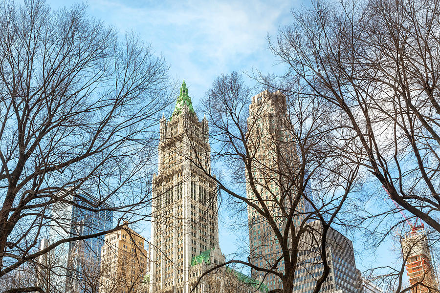 A Glimpse of the Woolworth Building Photograph by Cate Franklyn