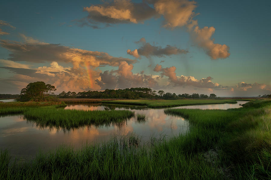 A God Wink Photograph by Rex Adams - Fine Art America