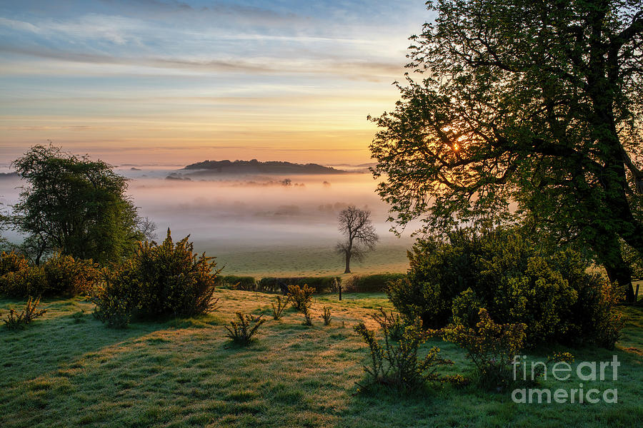 Spring Photograph - A Golden Early Morning by Tim Gainey