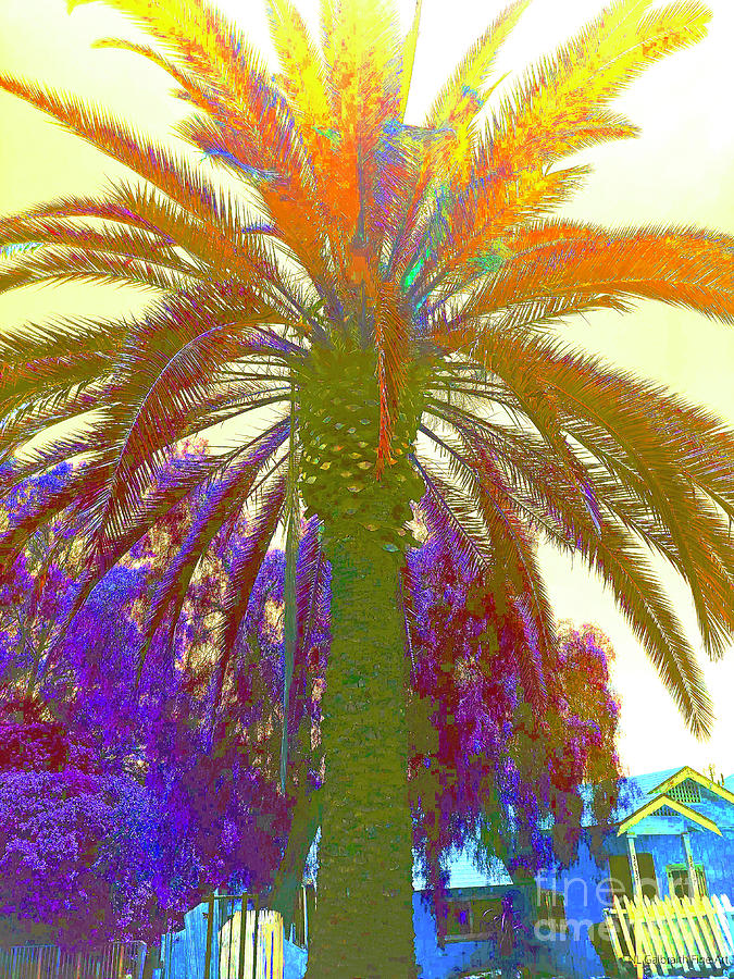 Abstract Digital Art - A Golden Palm by NL Galbraith