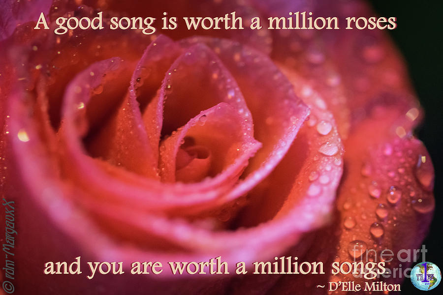 A Good Song Is Worth A Million Roses Photograph