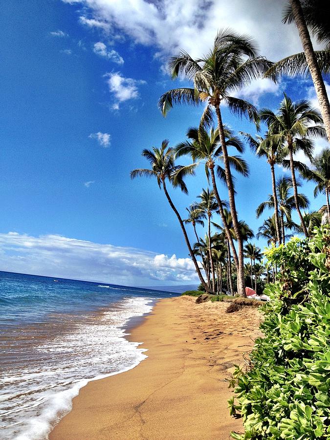 A Gorgeous Day in Maui Photograph by Lisa Soots