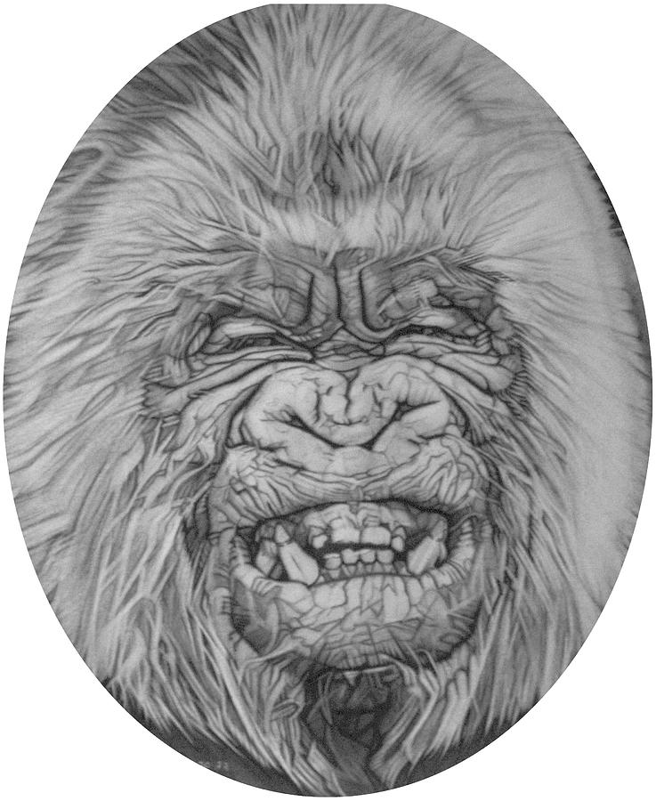 A Gorilla Named Snowflake - detail Drawing by Sean Connolly
