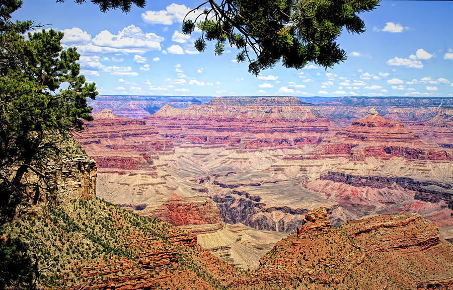 Grand Canyon National Park Photograph - A Grand View by Donna Kennedy