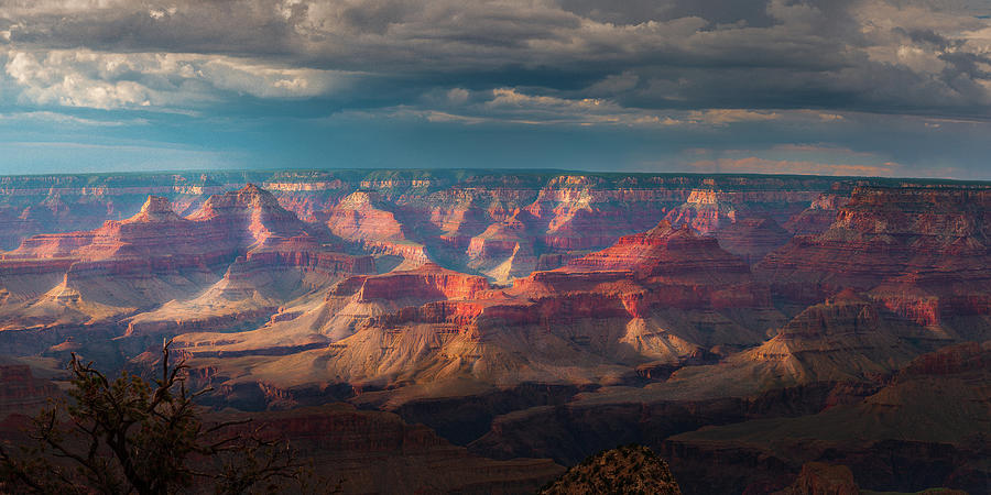Grand Canyon National Park Photograph - A Grand View by Mikes Nature