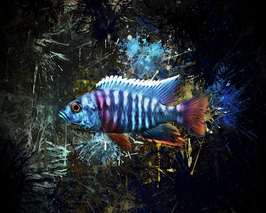 Fish Digital Art - A Grants Peacock Cichlid Portrait by Scott Wallace Digital Designs