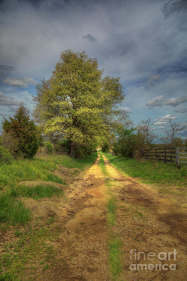 Travel Photograph - A Gravel Road with Imagination. by Larry Braun Travel Photograph - A Gravel Road with Imagination. by Larry Braun